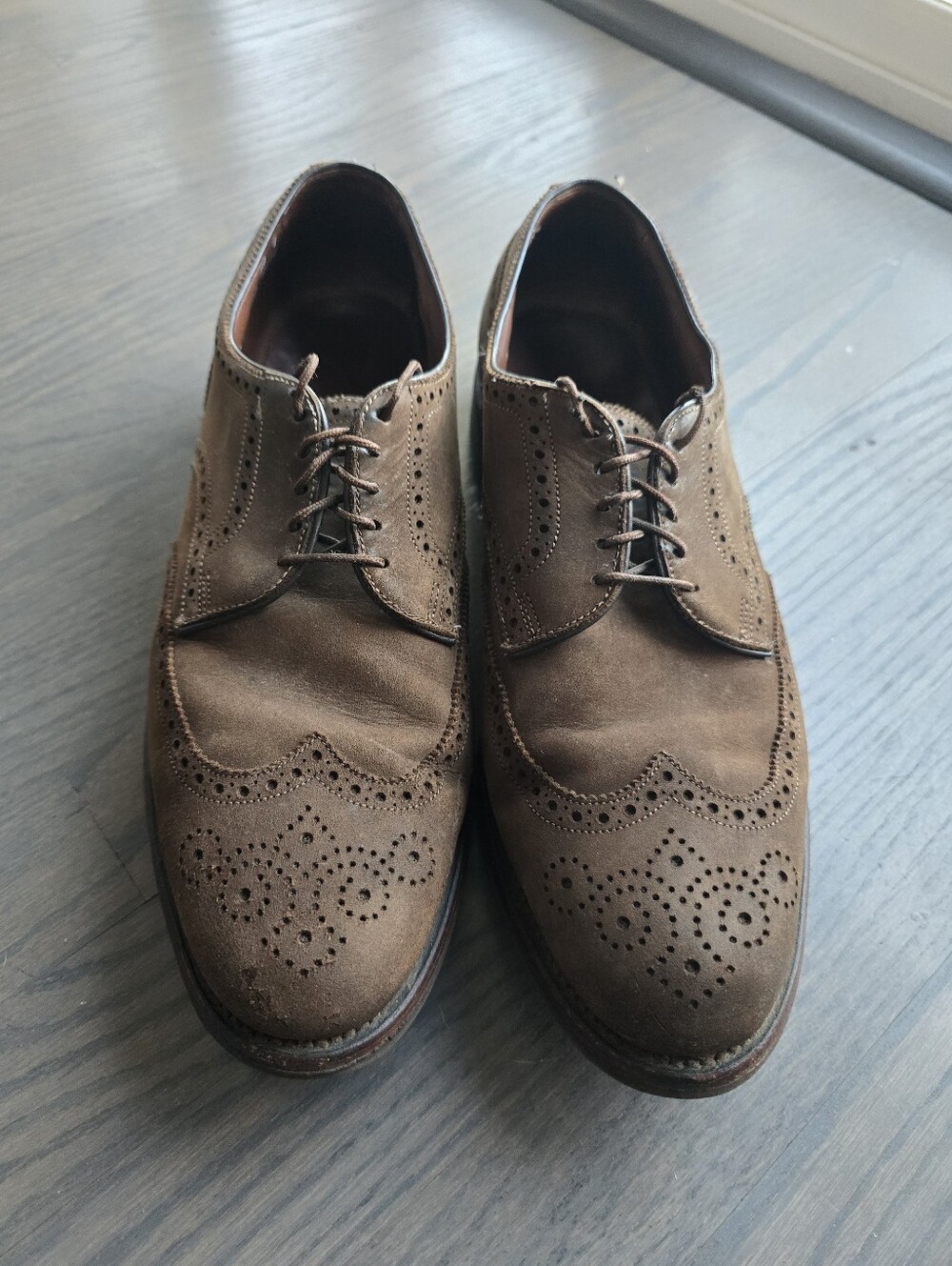Allen Edmonds | Men's Boardwalk Brogue Wingtip Brown Suede